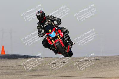 media/Feb-10-2023-TrackDaz (Fri) [[827c11d241]]/C Group/1245pm (Outside Grapevine)/
